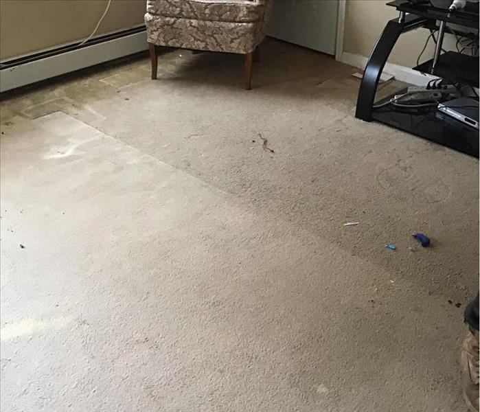 Carpet Water Damage Cleanup in Mansfield CT - Before shot carpet water damage cleanup