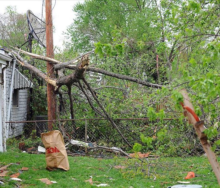 Tree Destroys Garage In Hamden CT