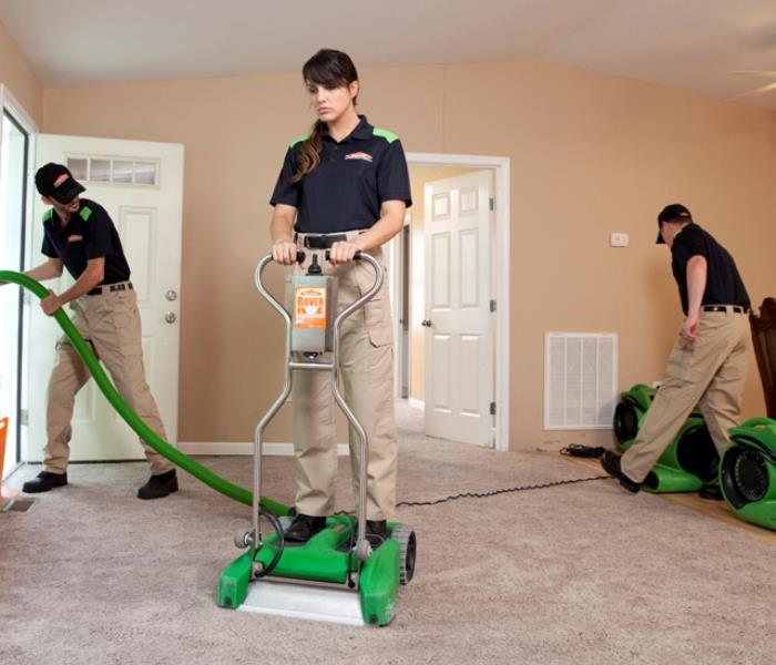 Water Removal from Carpet