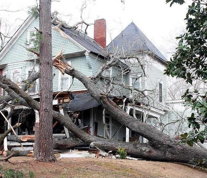 A tree fell onto a house